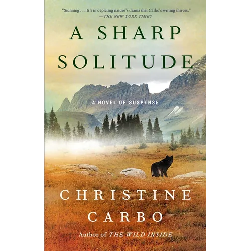 A Sharp Solitude: A Novel of Suspense