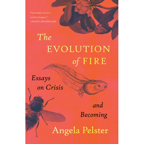 The Evolution of Fire: Essays on Crisis and Becoming